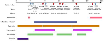 Dynamic evolution of ceftazidime–avibactam resistance due to interchanges between blaKPC-2 and blaKPC-145 during treatment of Klebsiella pneumoniae infection